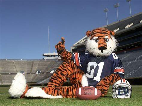 Flying High: Auburn's War Eagle Mascot Soars Above the Competition